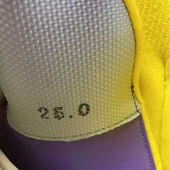 スキーブーツ　25cm
の画像