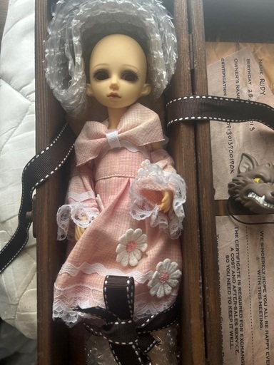 【中古】球体関節人形 ドール本体2体＋ウィッグ、服(一部)、アイ　値下げしました【急募】