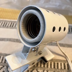 爬虫類  の画像