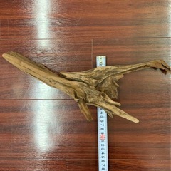 流木　アク抜き済みの画像