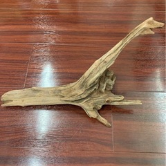 流木　アク抜き済みの画像