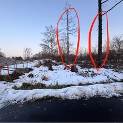 【残2本】薪無料の画像