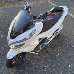 HONDA PCX125  JF81の画像