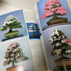 洋ラン　竹の観賞の栽培　サツキ　押花とドライフラワー　庭木全科　等　8冊セットの画像