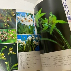 洋ラン　竹の観賞の栽培　サツキ　押花とドライフラワー　庭木全科　等　8冊セットの画像