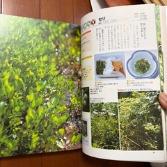 山菜大図鑑　0円
の画像