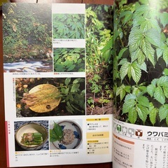 山菜大図鑑　0円
の画像