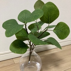 【美品】観葉植物 丸葉ユーカリ ユーカリ マジカルウォーター フェイクグリーン 光触媒 CT触媒 インテリア カフェ おうちカフェ 店舗 造花 リビング キッチン 推し活 チェキ クリスマス 収納の画像
