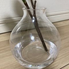 【美品】観葉植物 丸葉ユーカリ ユーカリ マジカルウォーター フェイクグリーン 光触媒 CT触媒 インテリア カフェ おうちカフェ 店舗 造花 リビング キッチン 推し活 チェキ クリスマス 収納の画像