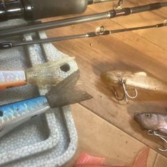 怪魚釣り引退セットの画像