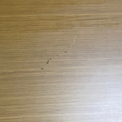 折りたたみテーブルの画像