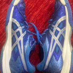 アシックス スニーカー 25.5cm／擦れ傷ありの画像