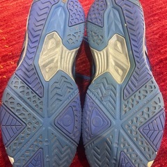 アシックス スニーカー 25.5cm／擦れ傷ありの画像