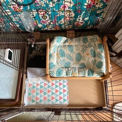 【無料】犬用ケージの画像