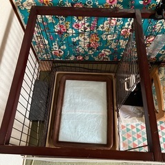 【無料】犬用ケージの画像