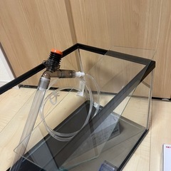 水槽 めだか メダカ ライトの画像