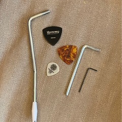 Bacchus Universe series ストラトキャスター  の画像