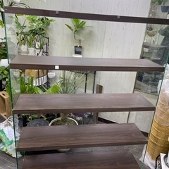 【0円】ガラス×木製ディスプレイ棚 W120cm 引き取り限定の画像