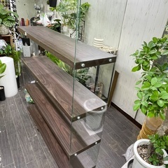 【0円】ガラス×木製ディスプレイ棚 W120cm 引き取り限定の画像