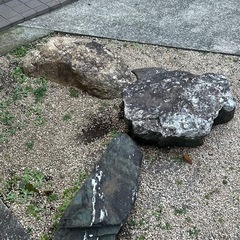 庭石
の画像