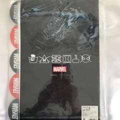 🌹クリアファイル　MARVEL　多収納②の画像