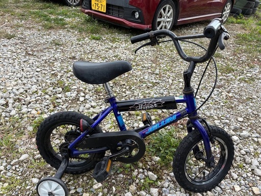 とりあえず使えます (nn) 奥武山公園のBMXの中古あげます・譲ります