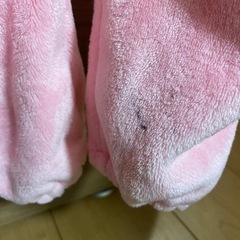 うさぎ　着ぐるみ　100の画像