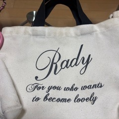 RADYバッグまとめ売りの画像