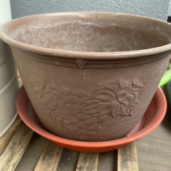 植木鉢 支柱 大きめじょうろの画像