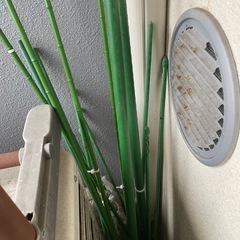 植木鉢 支柱 大きめじょうろの画像