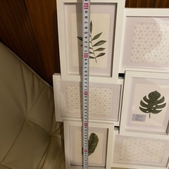 多面フォトフレーム／コラージュフレーム（白・ボタニカル柄）美品の画像