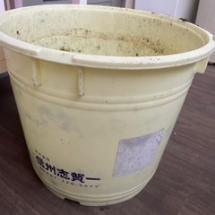 植木鉢 支柱 大きめじょうろの画像