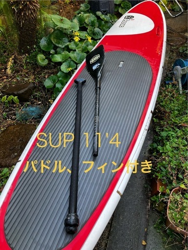受付終了　SUP   パドル*シングルフィン付き