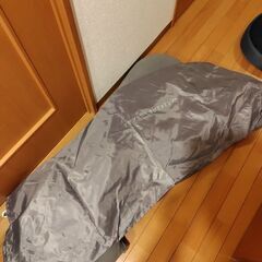 ヒツジのいらないマットレス　抱き枕　クッション　袋つきの画像