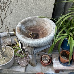 餅つき 石 臼の画像