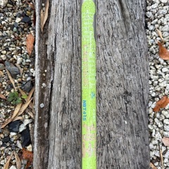 Robin NBT415 刈王2気筒草刈機　実働　エンジン始動OKの画像