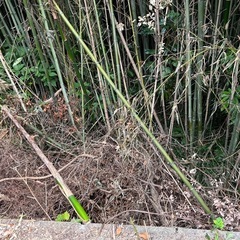 ⭐︎取り引き中　
農地、宅地、原野の画像