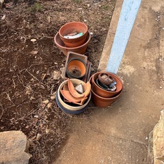 ブロックや植木鉢の画像