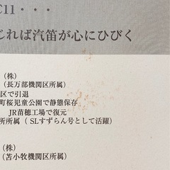 【SLファン必見！】きこえてくるSLの鼓動「C11・TRIO トリオ」 平成11年11月11日記念入場券 JR北海道 静内駅 台紙付きの画像