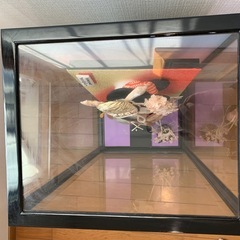 羽子板　正月飾りの画像