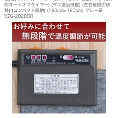 ホットカーペットの画像