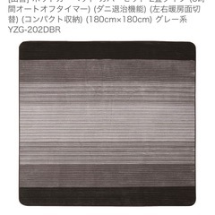 ホットカーペットの画像