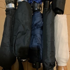 折りたたみ傘10本の画像