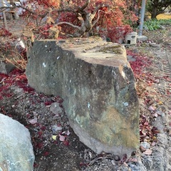 庭石もらってくれませんか？の画像