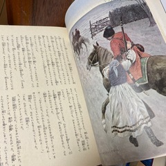 海外の文学　小説　12冊セットの画像