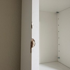 棚　本棚　収納棚の画像