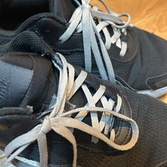 25センチ　ナイキ NIKE RYZ 365 2 ウィメンズ シューズの画像