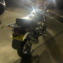 メッキゴリラの画像