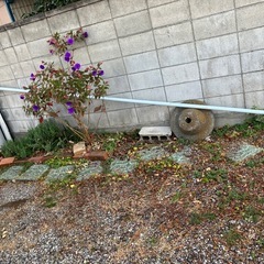 長い物干し竿の画像