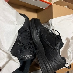 NIKE AIR MONARCHの画像